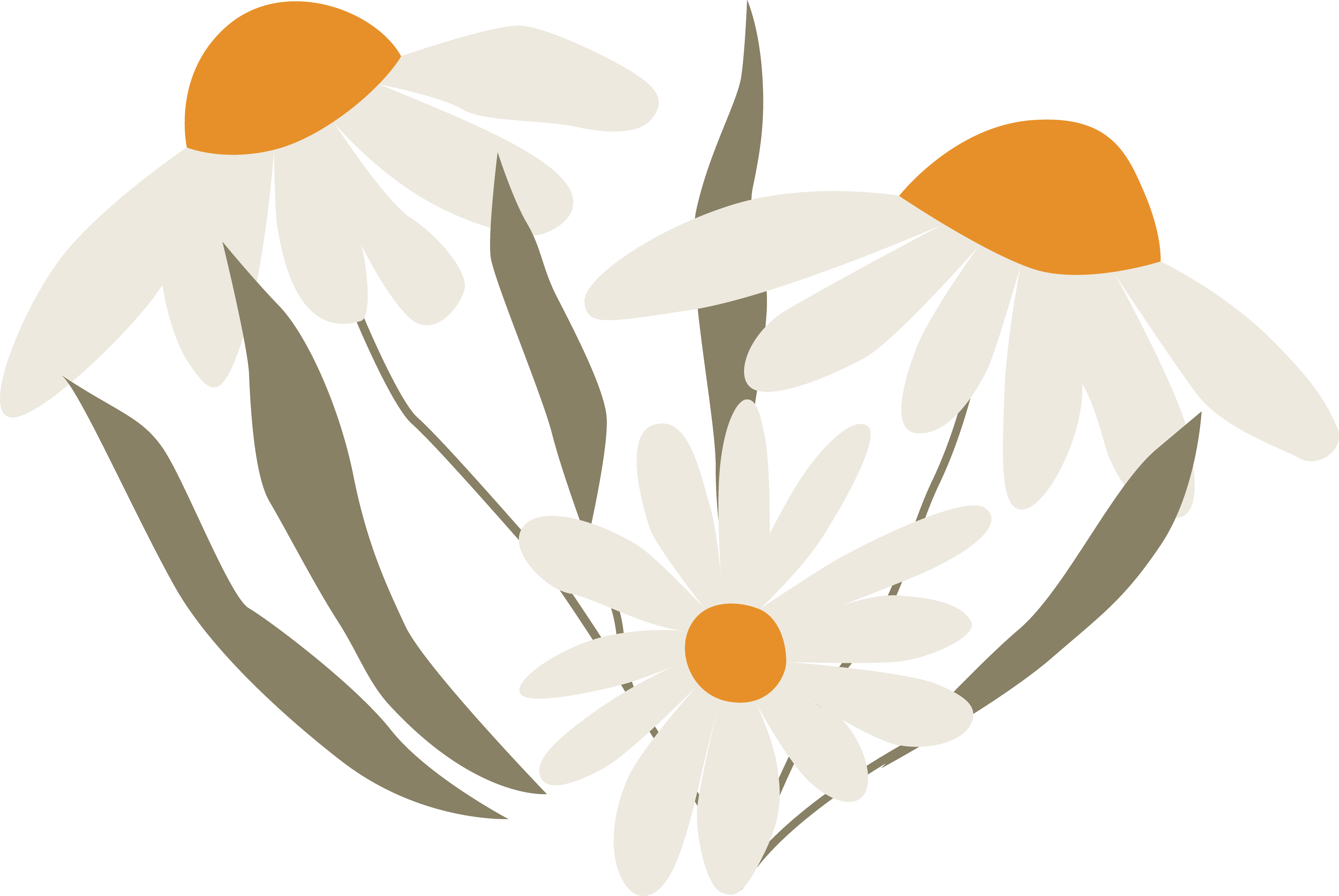 Daisy Clipart